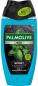 Preview: Palmolive Dusch For Men Sport, 250 ml